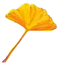 elemento