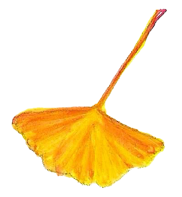 ESPIGA