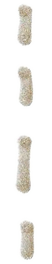 COSTURA uno