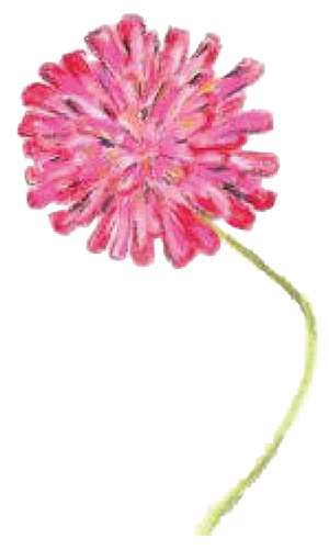 FLOR