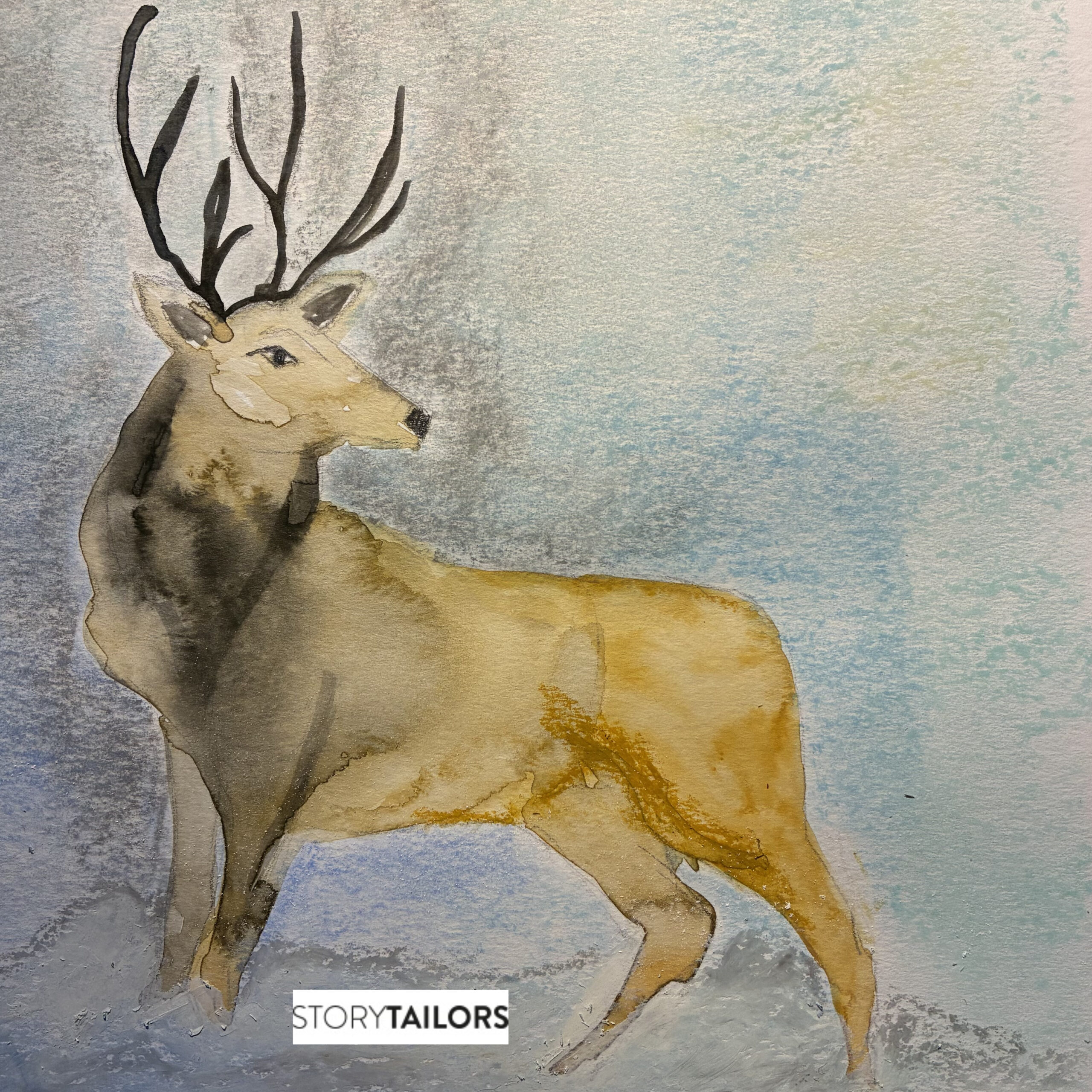 Décimo día de adviento