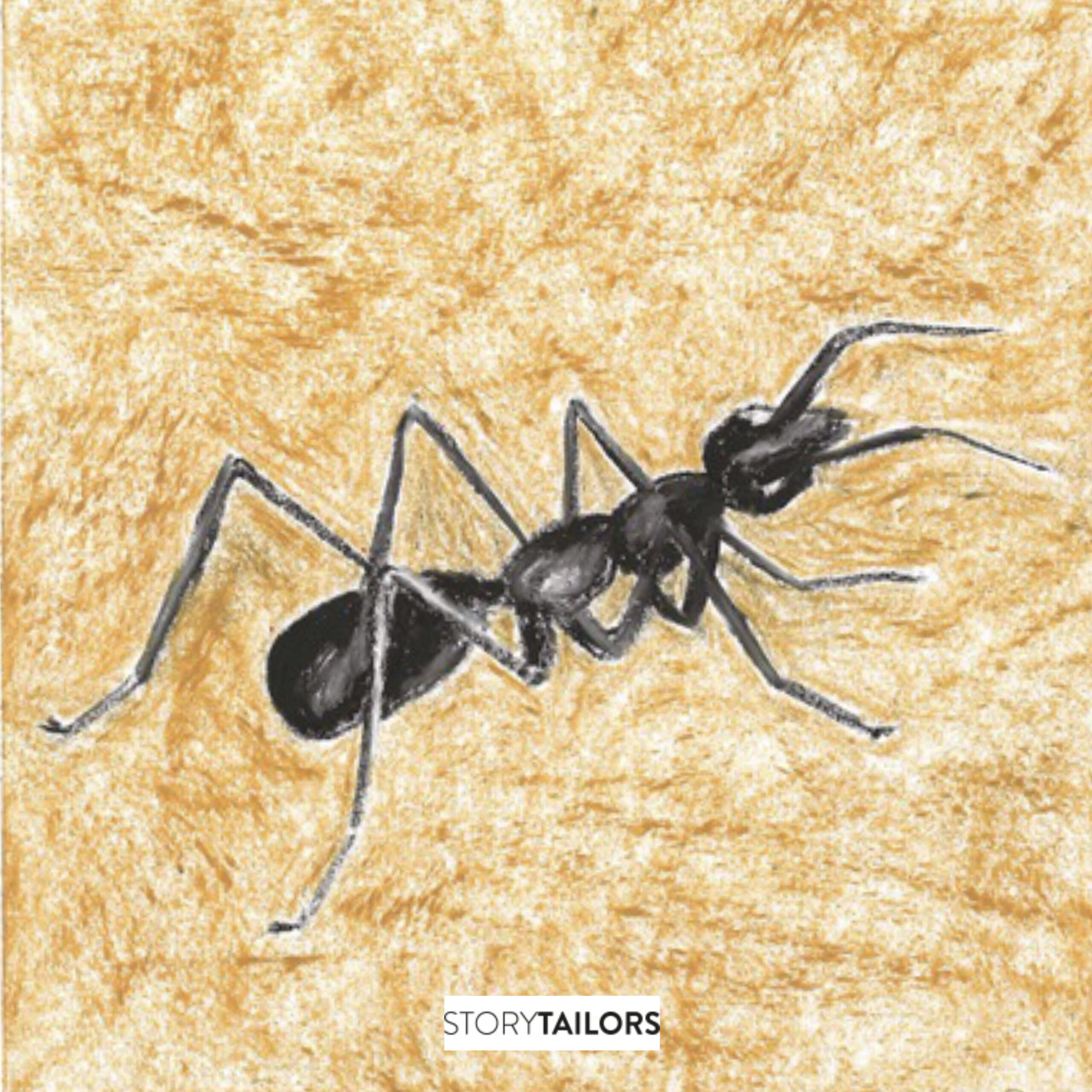 Décimo cuarto día de adviento