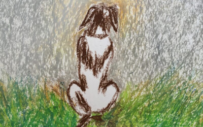 Doceavo día de adviento