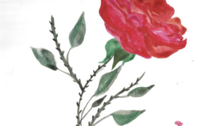 Treceavo día de adviento