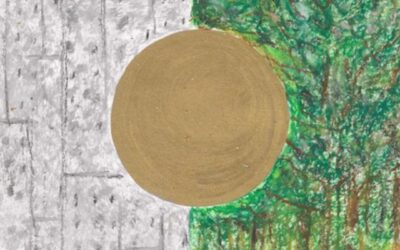 Octavo día de adviento